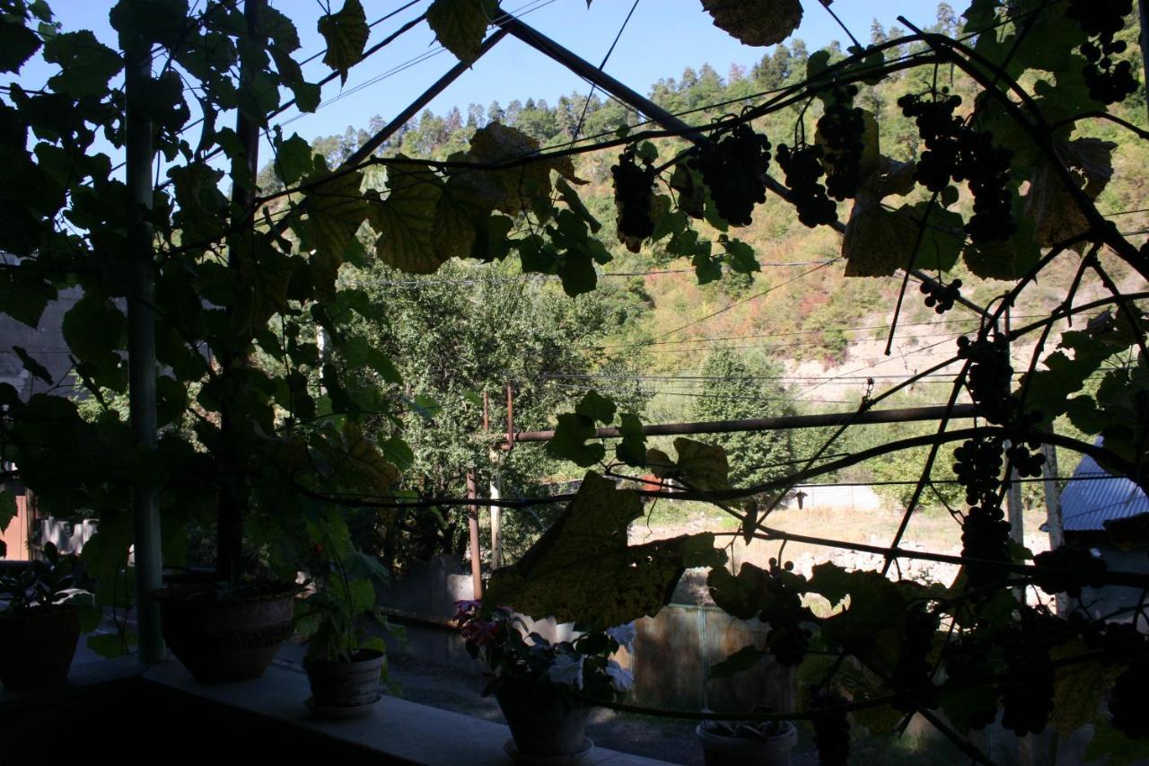 Guest House Nima 보르조미 외부 사진